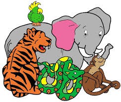 Sopa de animales