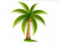 Hawaii connection